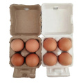 Disposable waterproof Pulp egg tray chicken egg cartons 4 packers 4x2 cells